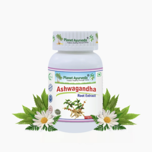 ASHWAGANDHA CAPSULES 아쉬아간다 캡슐