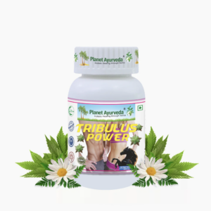 TRIBULUS POWER 트리불러스 파워