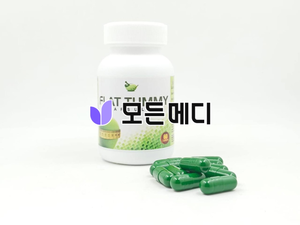 플렛터미 직구, 구매, 후기
