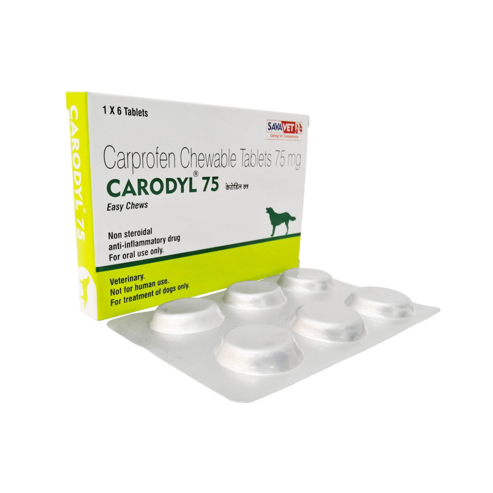 리마딜 칼프로펜 CARODYL - 100mg, 72정